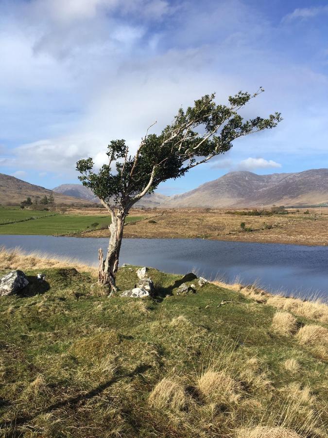 Railway View - Connemara Bed and Breakfast Recess Εξωτερικό φωτογραφία